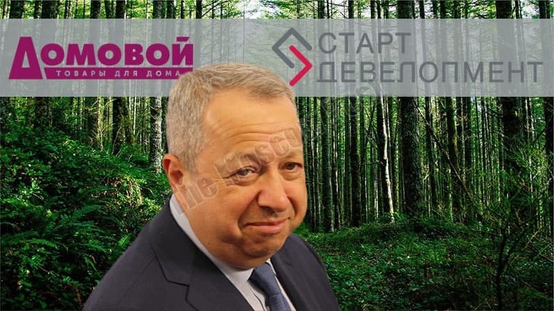 "Смушкин" лес