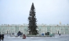 На Дворцовой площади установили главную новогоднюю ель Петербурга