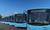 Петербург получил 98 новых лазурных автобусов Volgabus