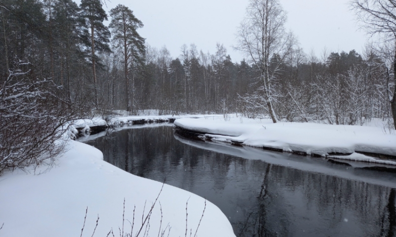 Жители Ленобласти вновь жалуются на запах и разноцветные пятна на реке Вьюн