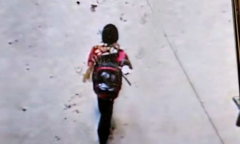 Подозреваемого в похищении 9-летнего Паши в Петербурге задержали