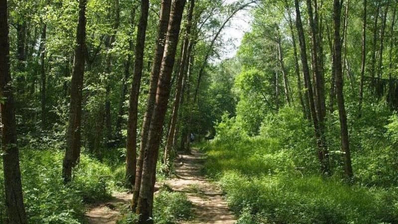 В Петербурге появился новый природный заказник