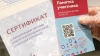 Петербургская полиция раскрыла дело о фиктивной вакцинации