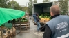 В Петербурге массово закрывают киоски с дынями и арбузами