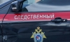 В Петербурге проводят проверку по факту противоправных действий в отношении ребенка