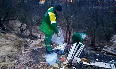 Петербургские экологические службы собрали около 19 тонн опасных отходов за неделю