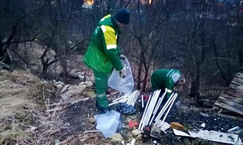 Петербургские экологические службы собрали около 19 тонн опасных отходов за неделю