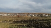 Пустозерово